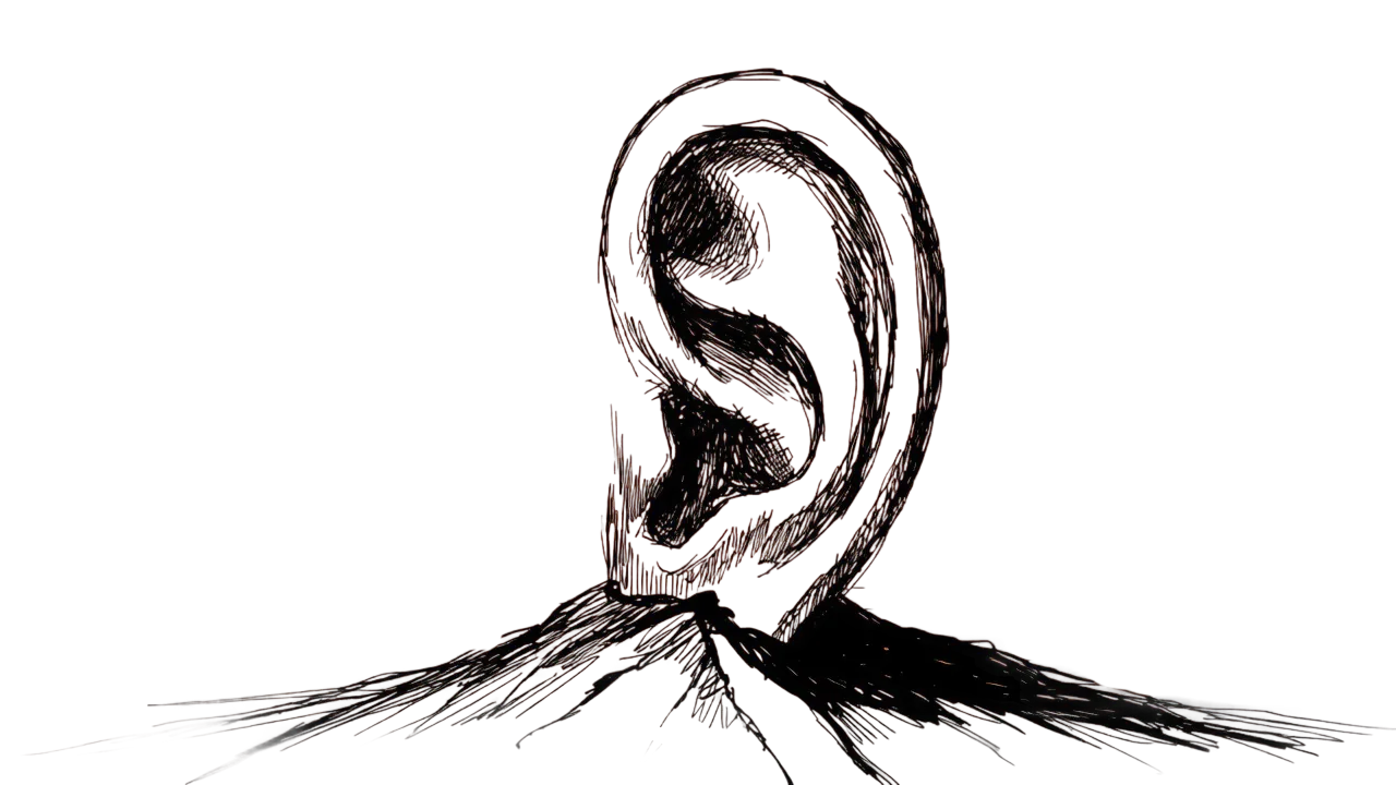 Ink sketch of a human ear